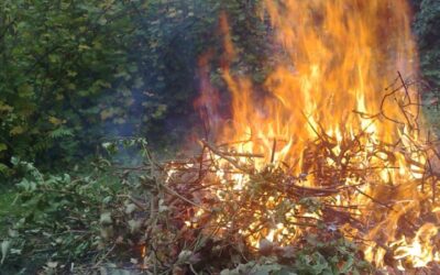 Règlement pour les feux en plein air